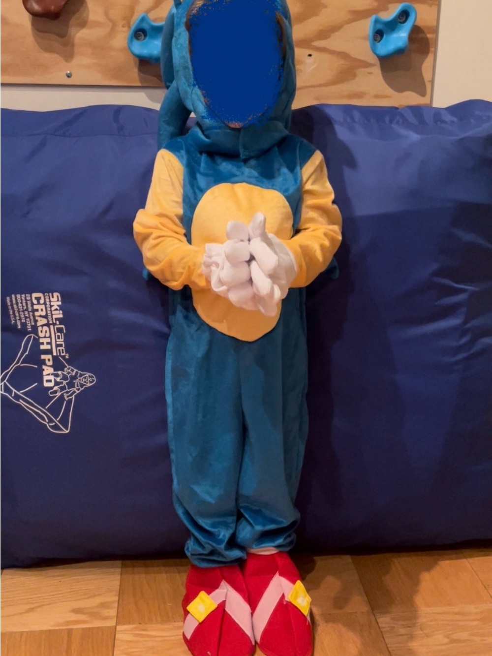 Sonic the Hedgehog brand Sonic the Hedgehog costume.